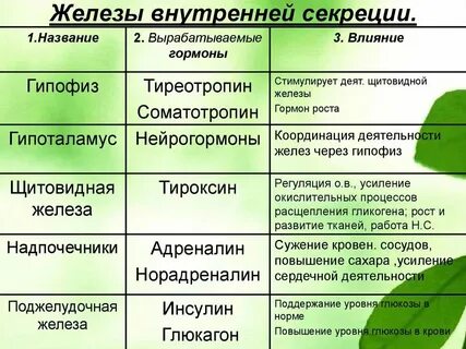 Проанализируйте таблицу эндокринные железы заполните пустые
