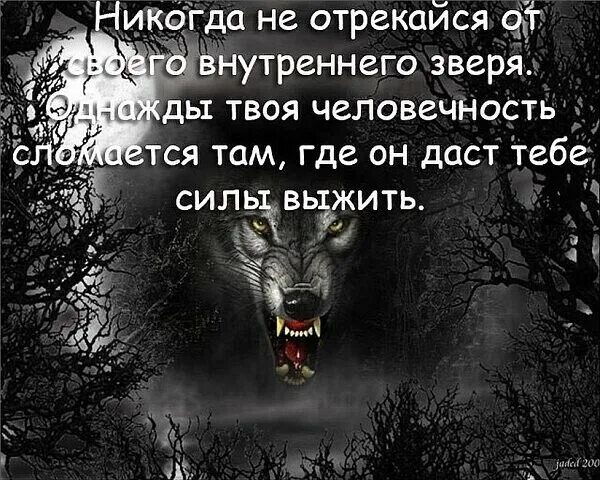 Статусы про людей тварей. 10. Как называется этот зверь. Что общего между словами гиппопотам и лошадью. Как хорошо вы знаете зверей.
