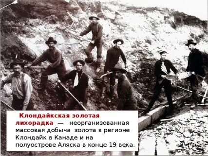 Золотая лихорадка болезнь