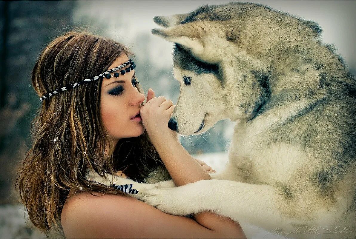 Обнимаю волка. Красивая девушка с волком. Волчица и девушка. Девочка и волк. Фотосет с волком.