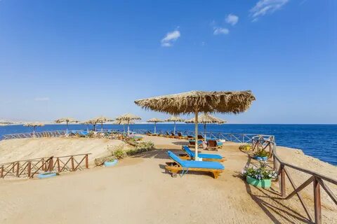 Club reef 4 отзывы