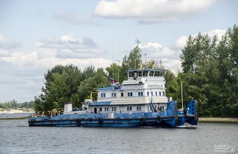 Волгарь отзывы