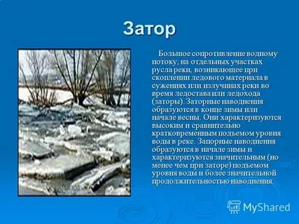 Предвестница ледостава 4 буквы