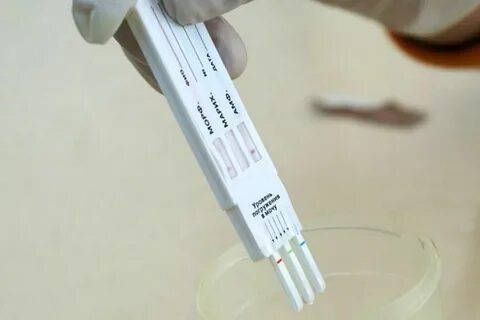 Сдать тест на вид