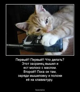 На звонок первый первый я второй