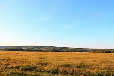 Простора форум