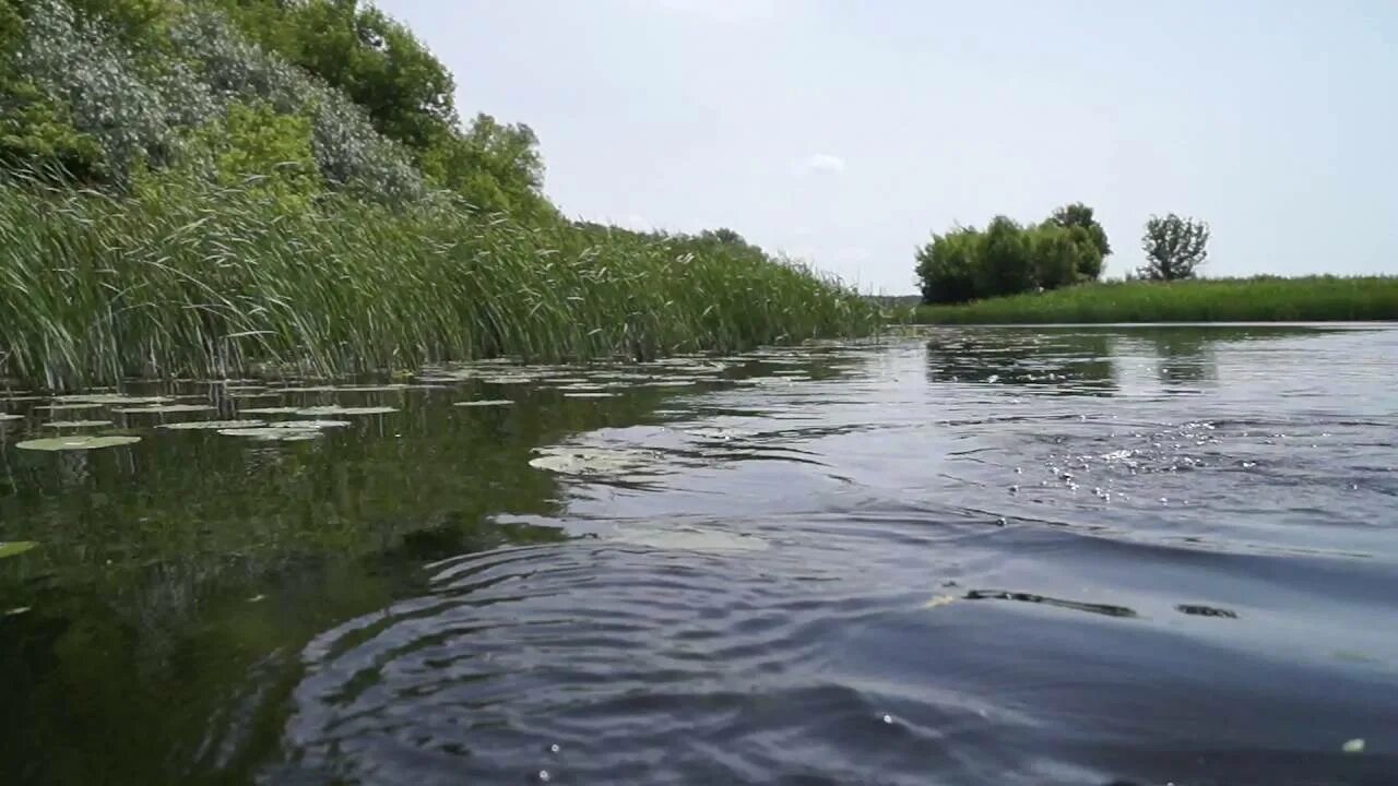 Река Вихра в Мстиславле. Река Вихра Монастырщина. Река Вихра в Смоленской. Река Вихра Смоленская область. Остановиться вблизи реки