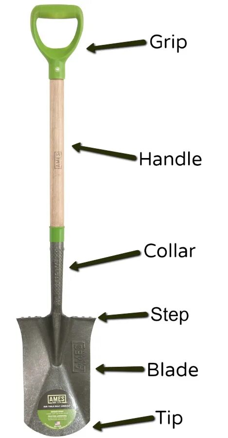 Лопаты типа Фишер. Yannan лопата штыковая. Shovel Spade Vocabulary. Types Fo Shovel. Shovel перевод