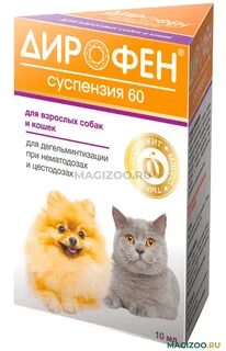 Дирофен для котят