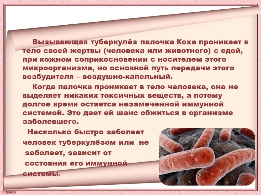 Туберкулез tuberculosis. Микобактерия туберкулеза палочка Коха. Палочки – микобактерия туберкулеза. Палочка Коха возбудитель туберкулеза. Туберкулез бактериальное заболевание.