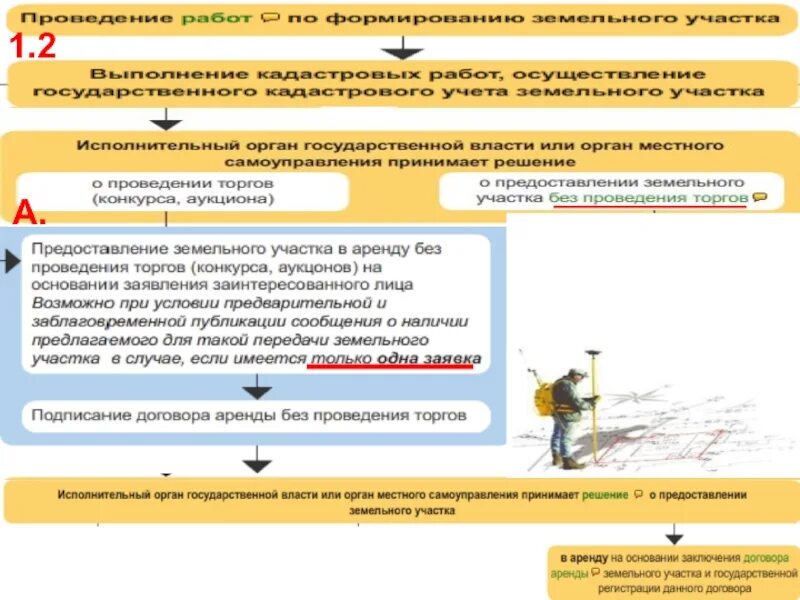 Схема предоставления земельного участка без проведения торгов. Порядок предоставления земельных участков на торгах. Проведение аукционов земельного участка. Случаи предоставления земельных участков на торгах. Проведение торгов по аренде