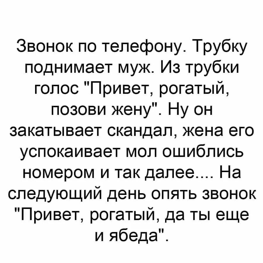 Песни на телефон на мужа. Анекдот привет рогатый жену позови. Анекдот про привет. Привет рогатый. Анекдот привет ябеда.