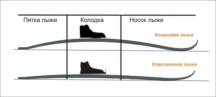 Отличие беговых лыж от коньковых. Лыжи для конькового хода и классического хода. отличие лыж для конькового хода. лыжи для конькового хода отличие от классических. коньковый и классический ход на лыжах разница.