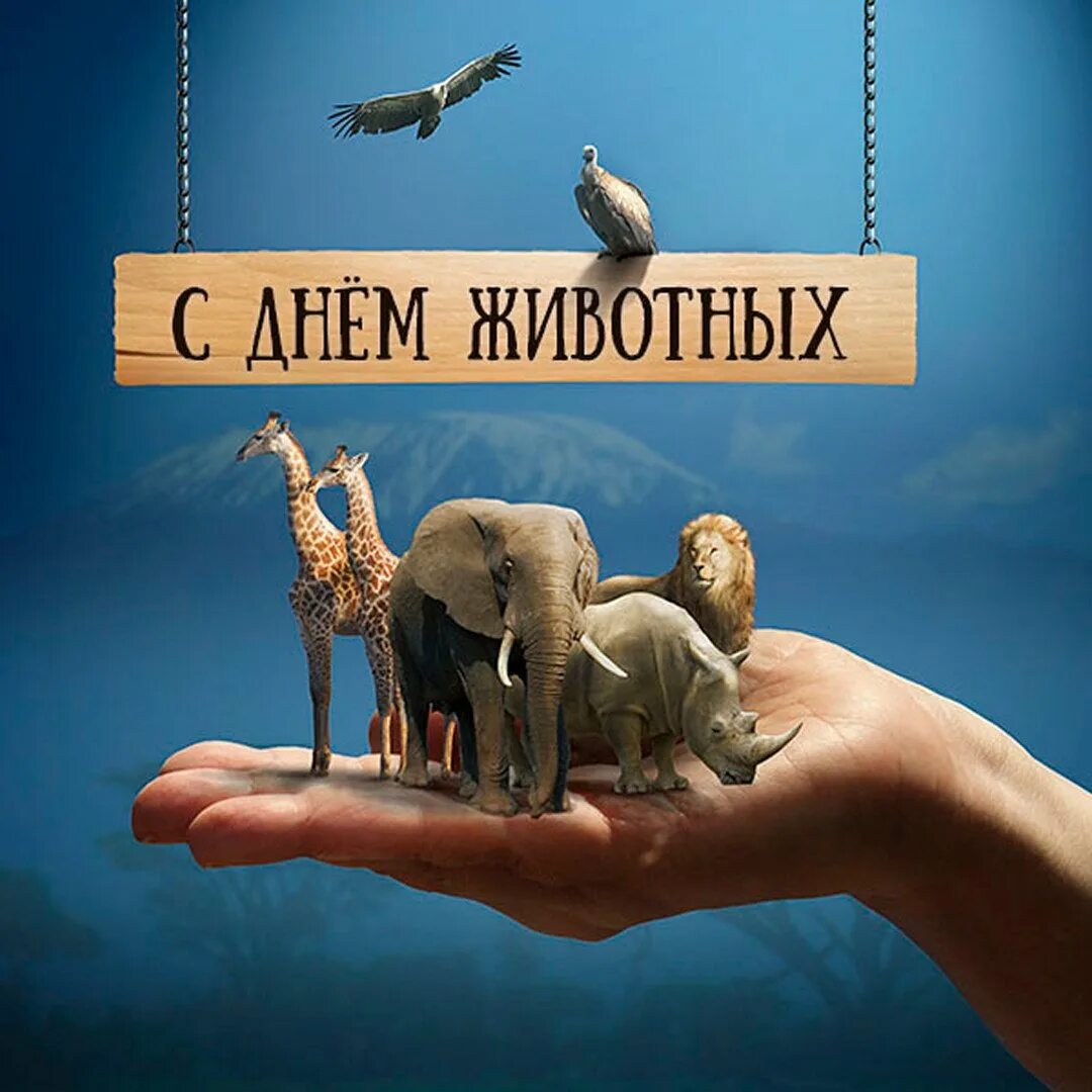 Одам животных. День защиты животных. международный день животных. животные защита. защита животных картинки.