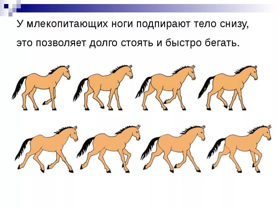 Самый экологичный способ передвижения из перечисленных. Самый экологичный способ передвижения из перечисленных