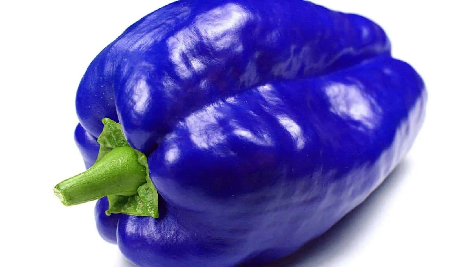 Синий про овощи. Голубой перец. Синий болгарский перец. Фиолетовый перец болгарский. Синий сладкий перец.