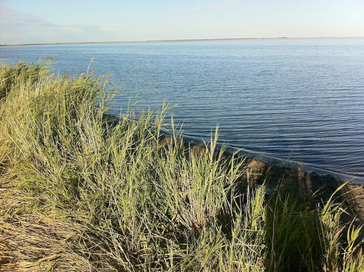 Малое яровое. Малое Яровое озеро. Озеро Малое Яровое Алтайский край. Малое Яровое озеро фото. Озеро Малое Яровое Алтайский край фото.