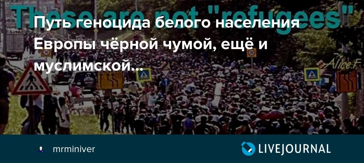 Геноцид белых. Геноцид белого населения. геноцид белых в россии. sex геноцид белого населения.