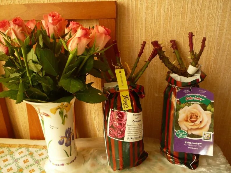 подворье интернет магазин саженцев розы