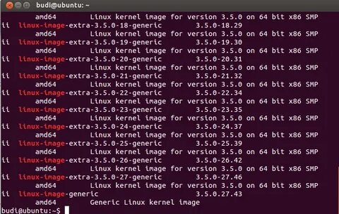 Ubuntu amd