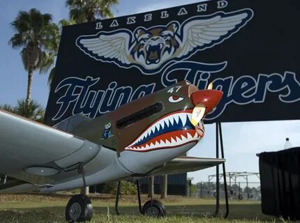 Fly tiger