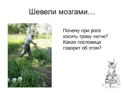 Не спать не спать косить косить