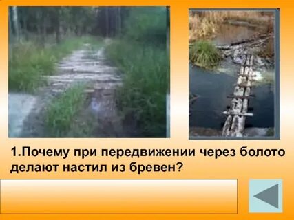 Настил через болото 4 буквы