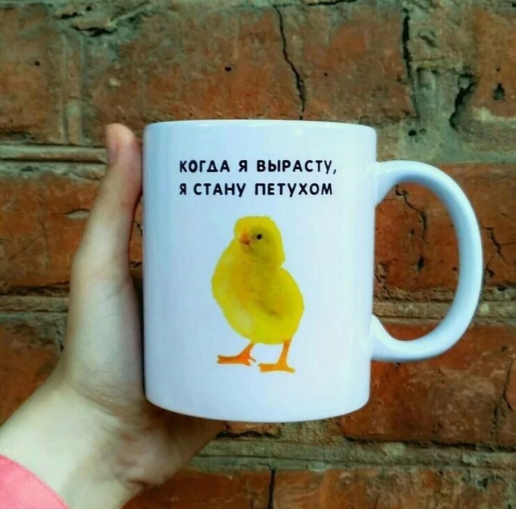 Как стать петухом. Когда я вырасту стану петухом. кружка когда я вырасту стану петухом. кружка а ты уже петух. кружка с цыпленком когда я вырасту.