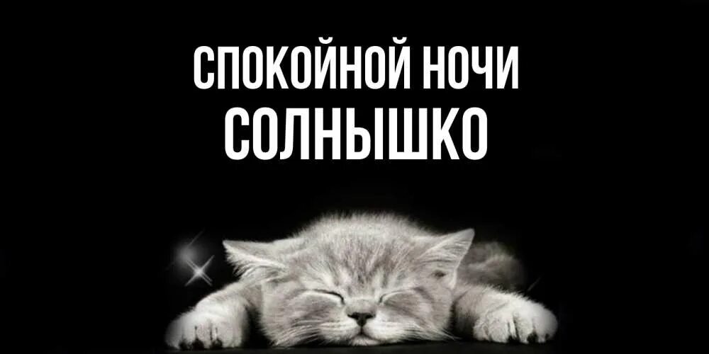 Спокойной ночи алёнушка. Доброй ночи алёнушка. Спокойной ночи солнышко котик. Спокойной ночи алёнушка картинки. Спокойнее солнышко
