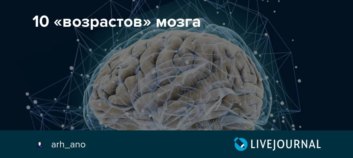 Развитие мозга возраст. Возраст мозга. Тест на Возраст мозга. Ткани мозга Возраст. Законы развития мозга.