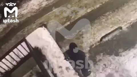 Забили молотком