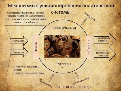 Функционирование сообщества