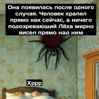 Сколько за жизнь человек съедает пауков