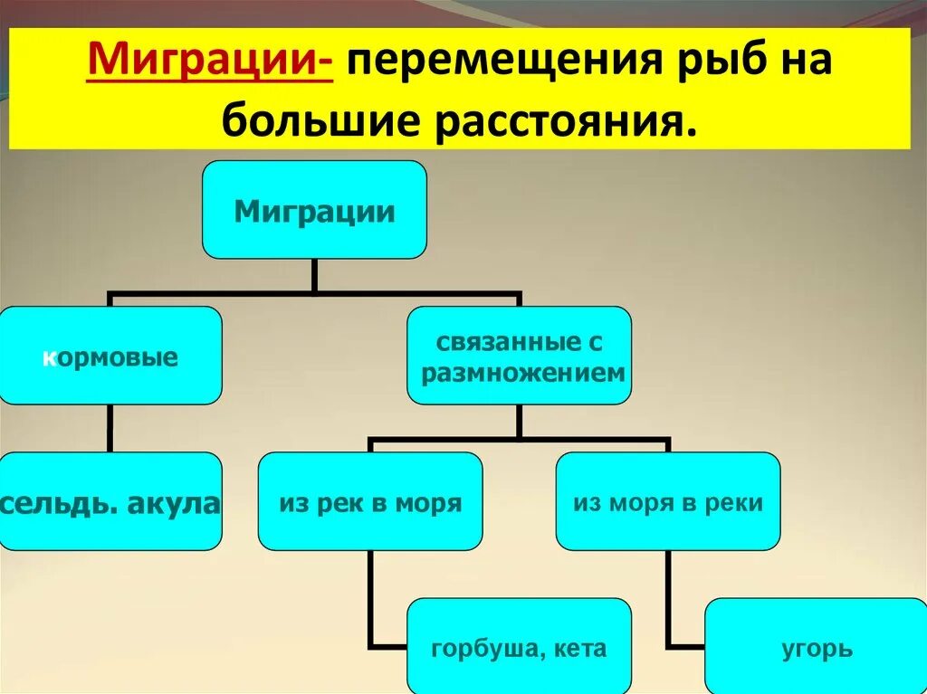 Перемещение рыб. Миграции перемещения рыб. миграция рыб для размножения. способы движения рыб. размножения рыб коротко миграции.