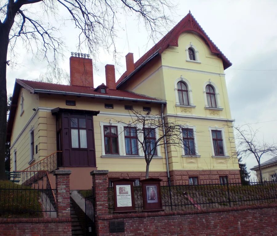 Франко филиппинские частные дома. Дом франко. Дом франко. Будинок франка у львові. Улица ивана франко (львов).