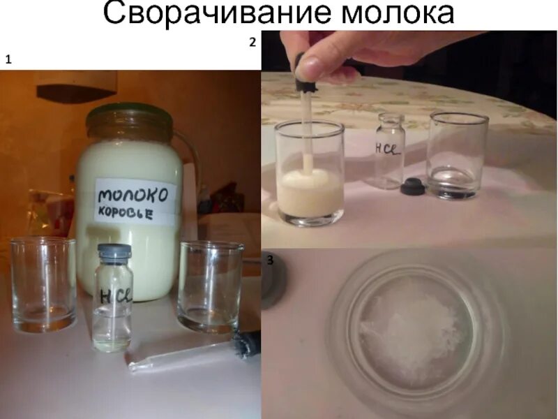 Почему не сворачивается сыр. Сворачивание молока. свернутое молоко. как сворачивается молоко. механизм сворачивания молока.