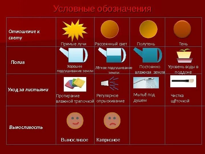 Рассеять свет лучами. Условные обозначения. Условные обозначения света для растений. Условное обозначение свет. Условные обозначения рассеянный свет.