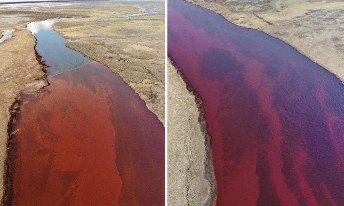 Прочитайте после реки разлива на осталась. Разлитие нефти в Норильске. Красная река Далдыкан. Разлив нефтепродуктов в Норильске. Разлив нефти в Норильске 2020.