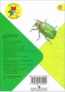 Окружающий мир 4 класс учебник плешаков pdf