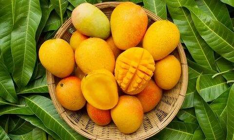 Mango pl