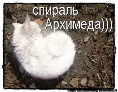 Одно из совсем немногих