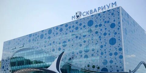 Новый океанариум в москве где находится
