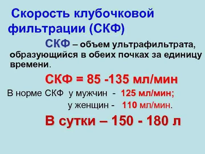 Скорость клубочковой фильтрации норма. Норма клубочковой фильтрации почек у мужчин. Показатели СКФ норма. СКФ норма у женщин по возрасту таблица. Хбп ckd epi