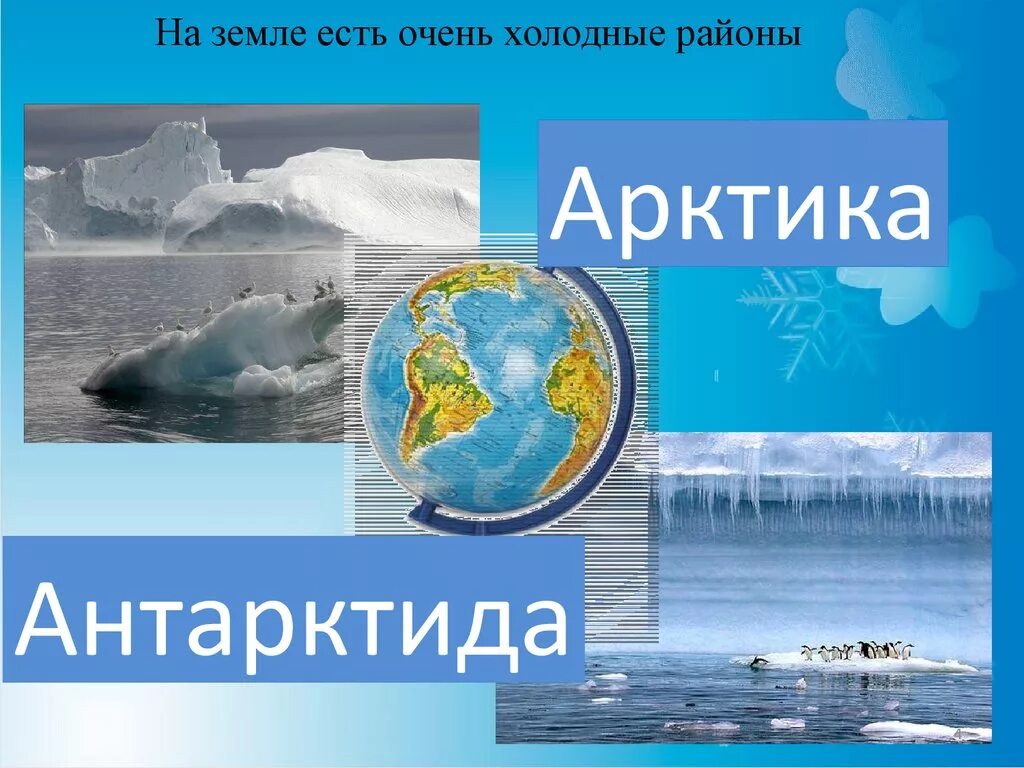 На каком полюсе находится артика