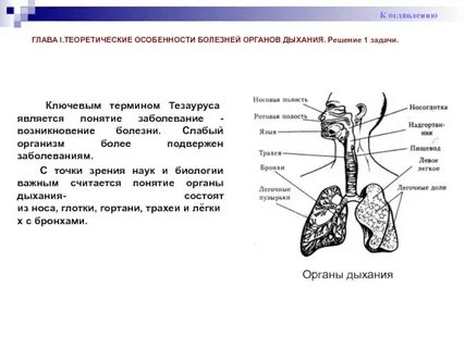Ответы больных органов дыхания