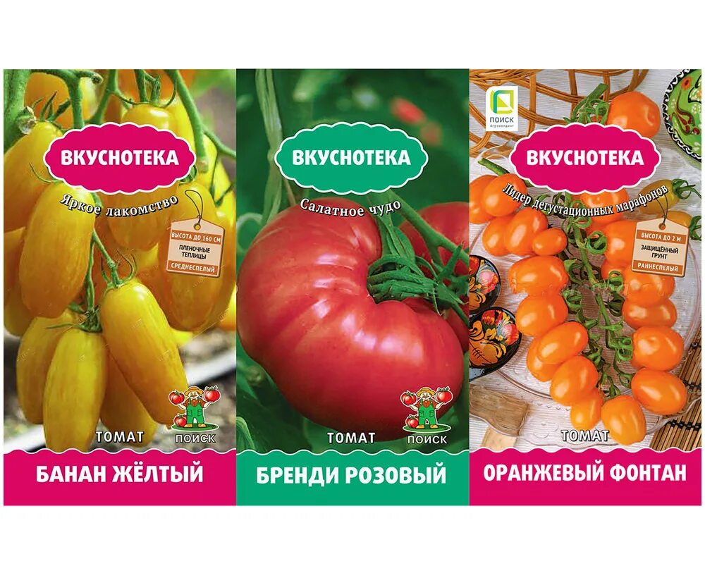 Томаты фирмы поиск. Томат малиновый фонтан f1. Семена томат терек f1. Томат обжорка аэлита. Семена томата новичок.