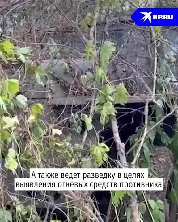 Положение под купянском сегодня. Под купянском.