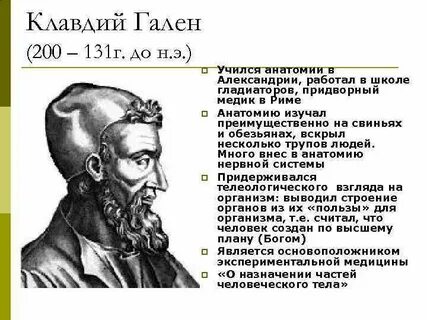 Гален вклад в медицину