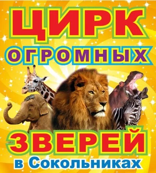 Цирк больше меньше какие животные. Цирк огромных зверей. цирк огромных зверей афиша. цирк больших зверей в сокольниках. звери в цирке.