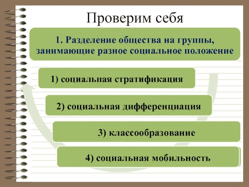 Группы общества характеристика положения групп общества. Разделение общества на группы. Разделение общества на социальные группы. Разделение общества на различные социальные группы это. Разделение общества на группы занимающие Разное положение в обществе.